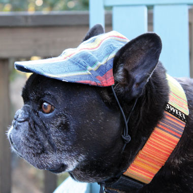 Geno in baseball cap