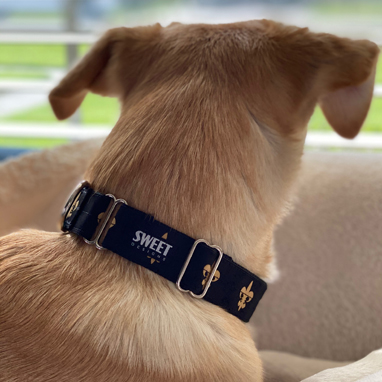 Fleur de lis collar