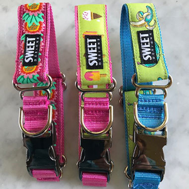 colorful collars